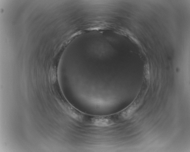 X0000070410471200606091156