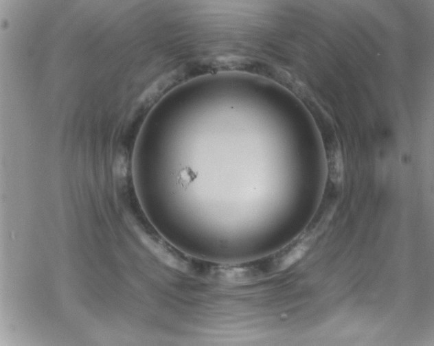 X0000070410472200606091156