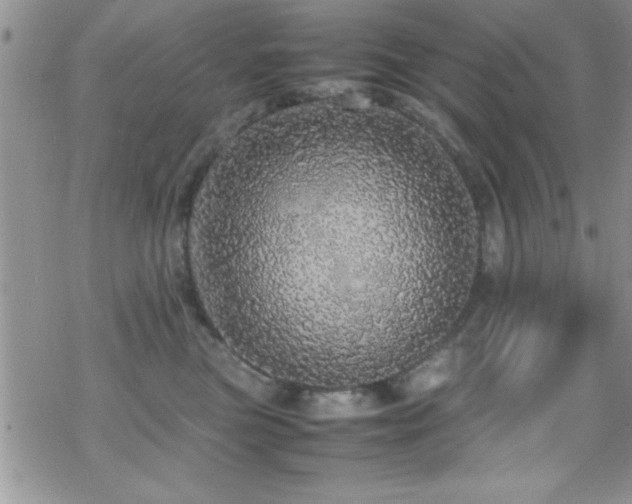 X0000070410473200606091156