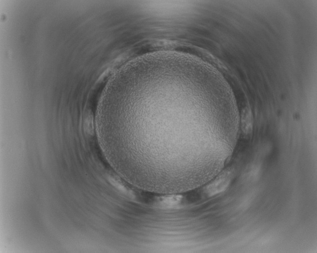 X0000070410474200606091156