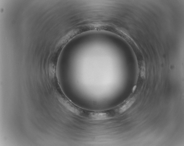 X0000070410476200606091156