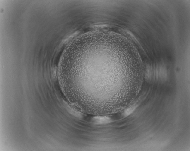 X0000070410477200606091156