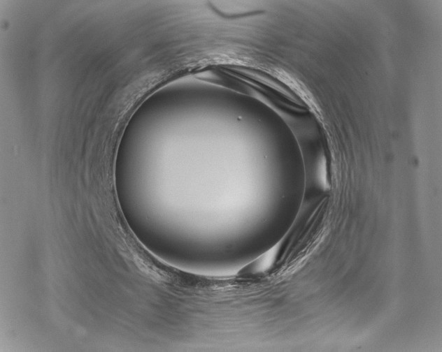 X0000070410481200606091155