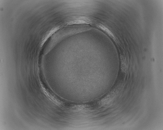 X0000070410482200606091155