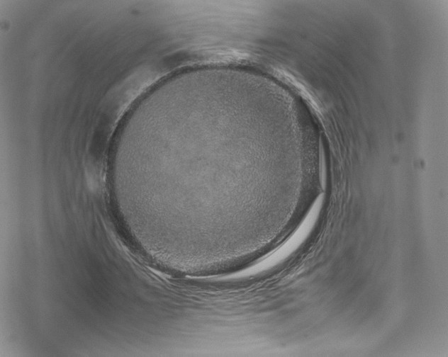 X0000070410483200606091155