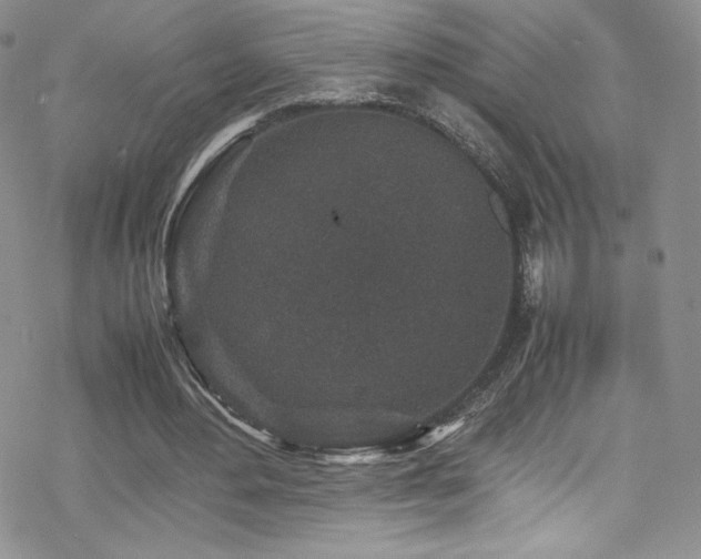 X0000070410484200606091155