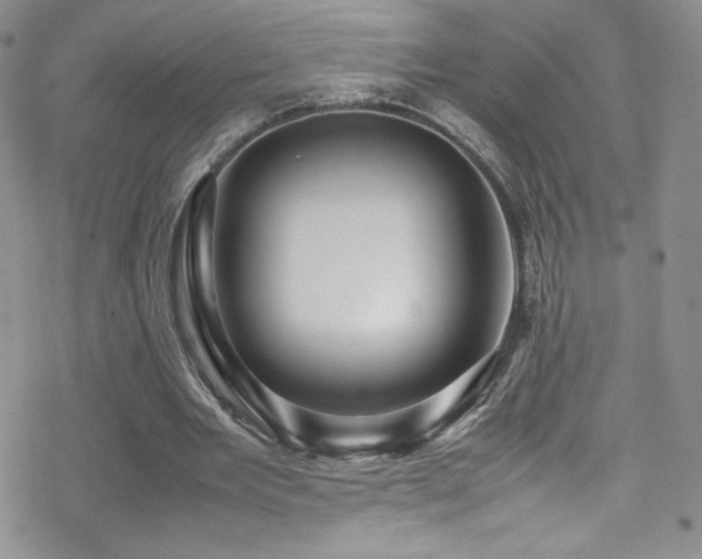 X0000070410485200606091155