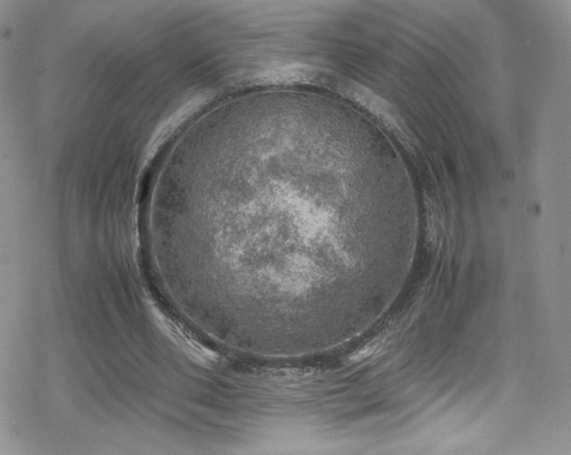 X0000070410486200606091155