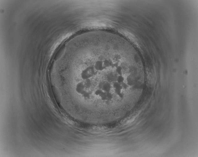 X0000070410487200606091155