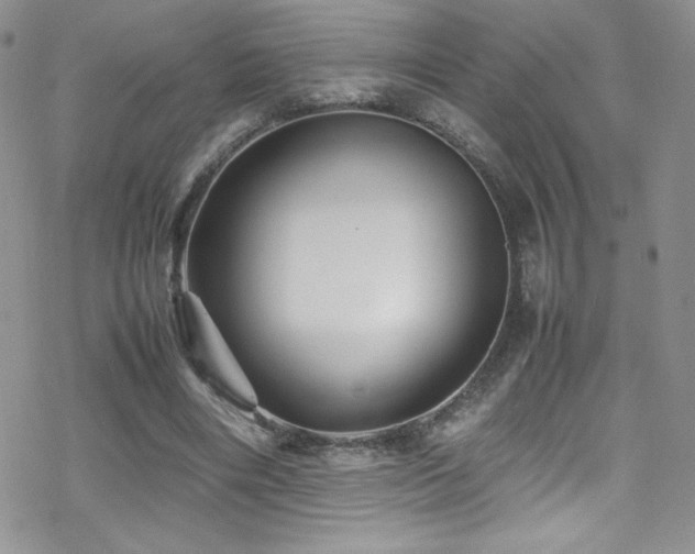 X0000070410490200606091155