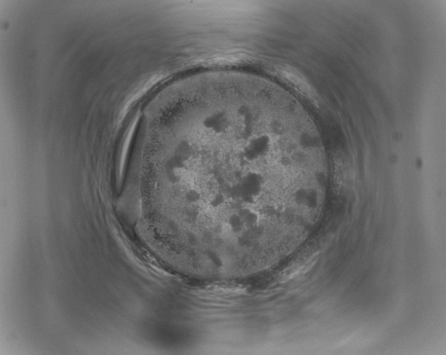 X0000070410491200606091155