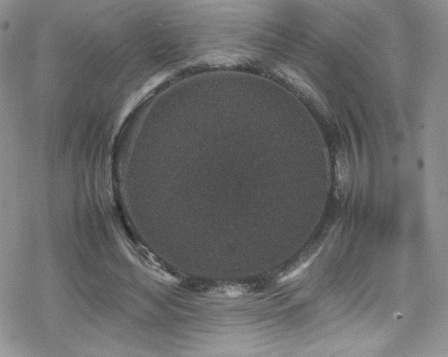 X0000070410492200606091155