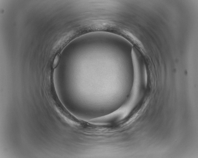 X0000070410493200606091155