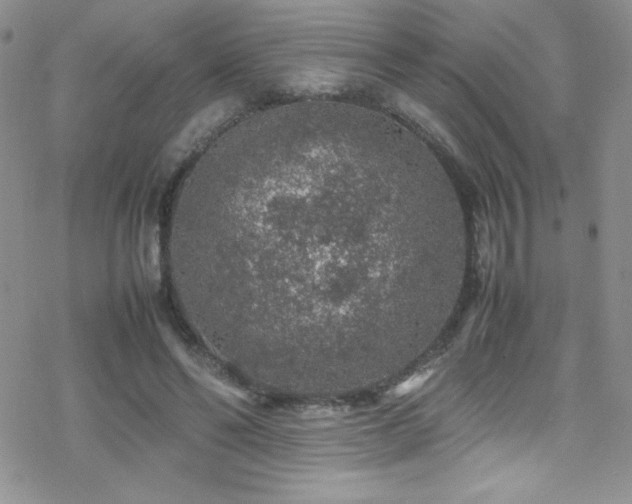 X0000070410494200606091155