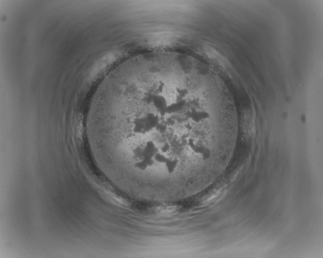 X0000070410495200606091155