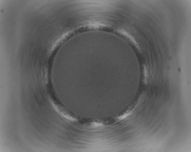 X0000070410496200606091155