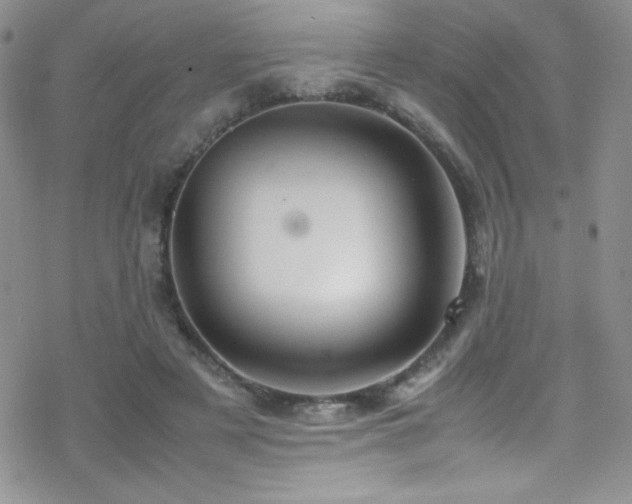 X0000070410497200606091155