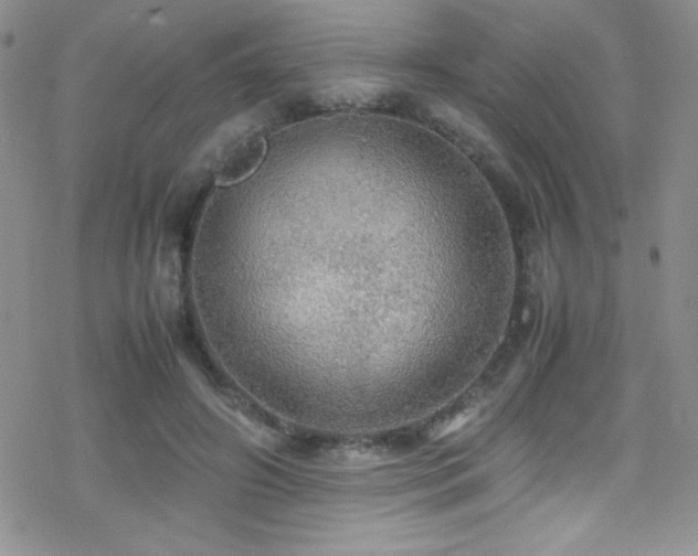 X0000070410498200606091155