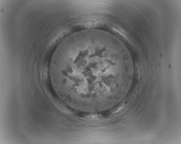 X0000070410499200606091155