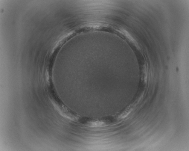 X0000070410500200606091155