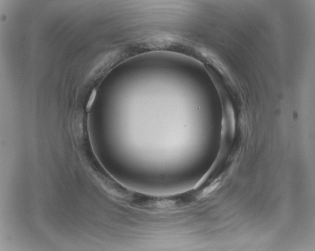 X0000070410501200606091155