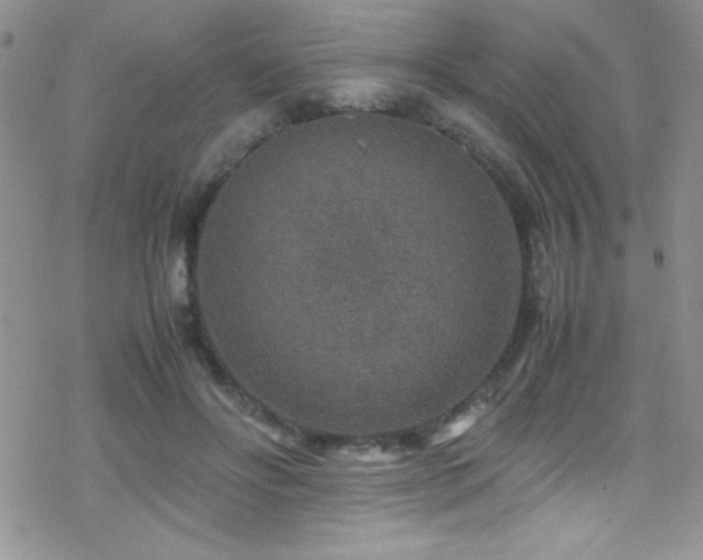 X0000070410502200606091155