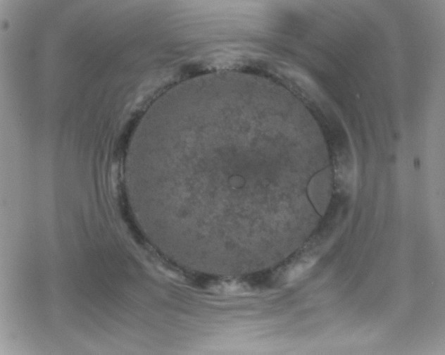 X0000070410503200606091155