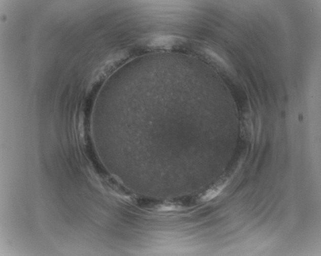 X0000070410504200606091155