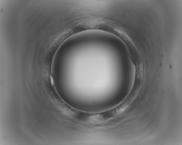 X0000070410505200606091155