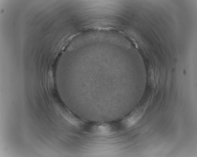 X0000070410506200606091155