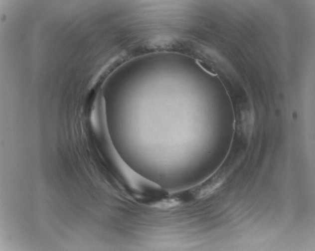 X0000070410508200606091155