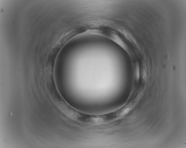 X0000070410509200606091155