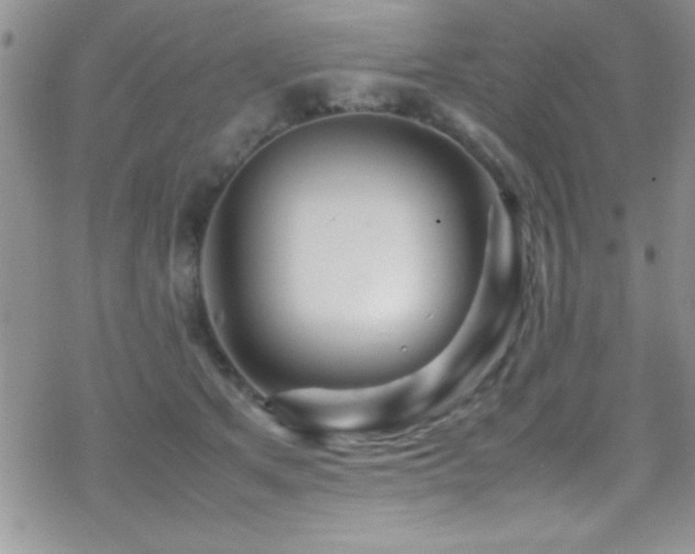 X0000070410513200606091154