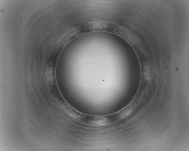 X0000070410514200606091154