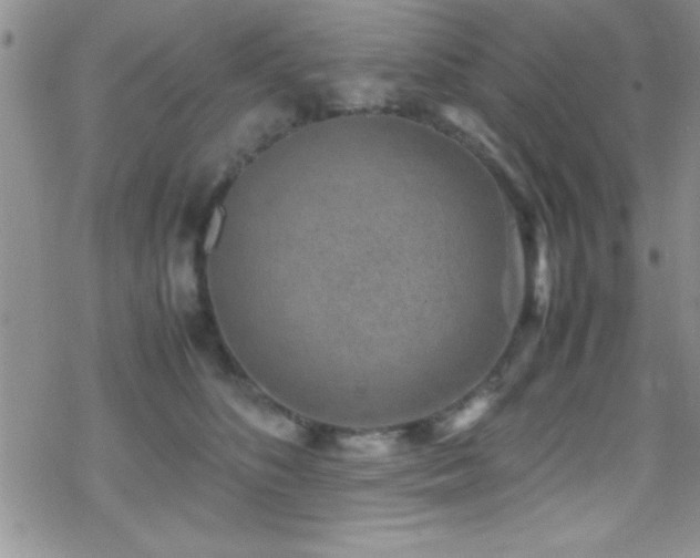 X0000070410516200606091154