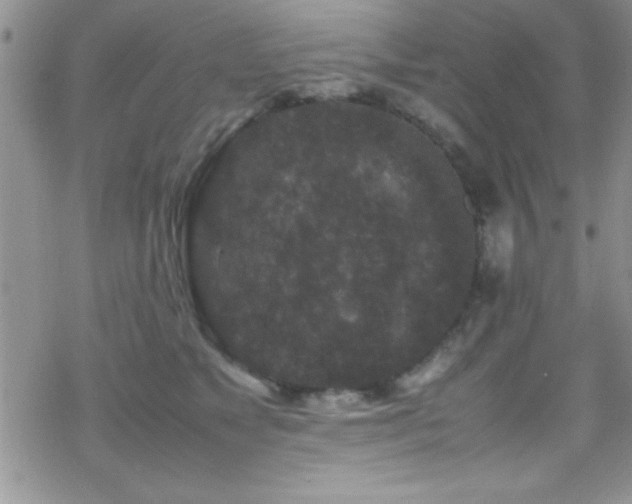 X0000070410517200606091154