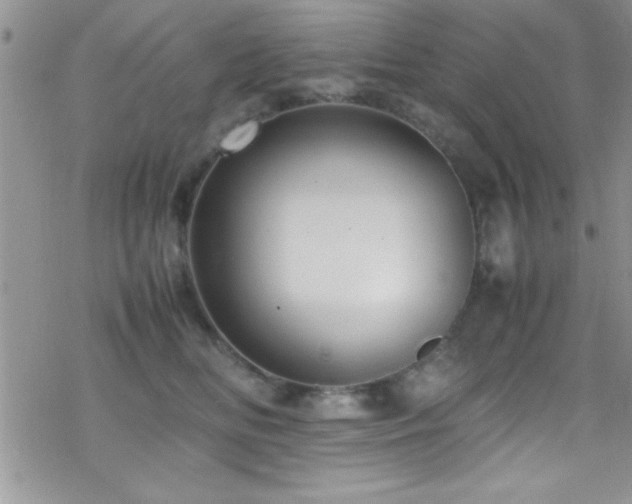 X0000070410518200606091154