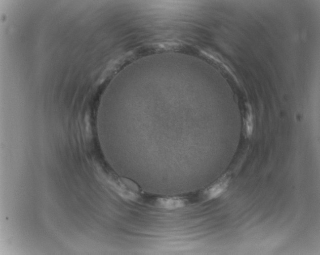 X0000070410520200606091154