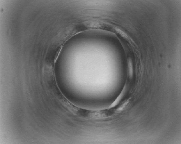 X0000070410521200606091154