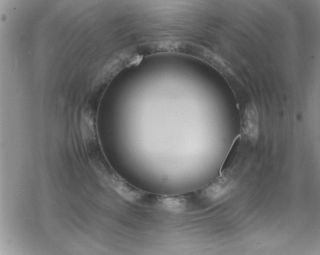 X0000070410522200606091154