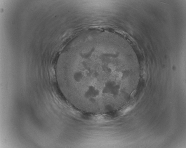 X0000070410523200606091154