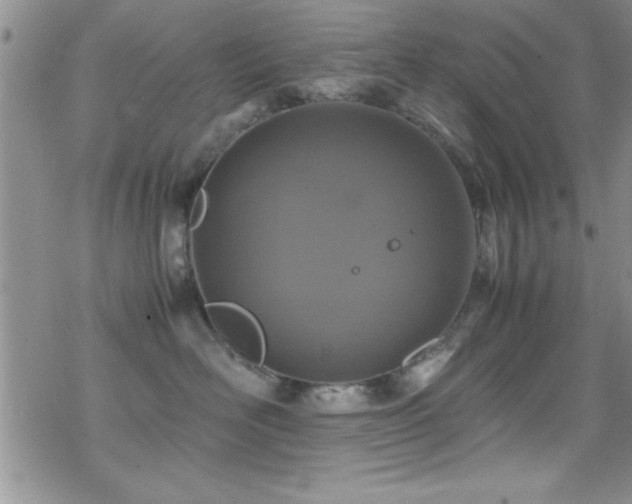 X0000070410526200606091154