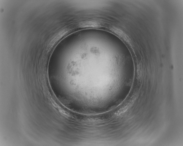 X0000070410529200606091153