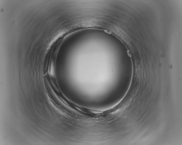 X0000070410530200606091153