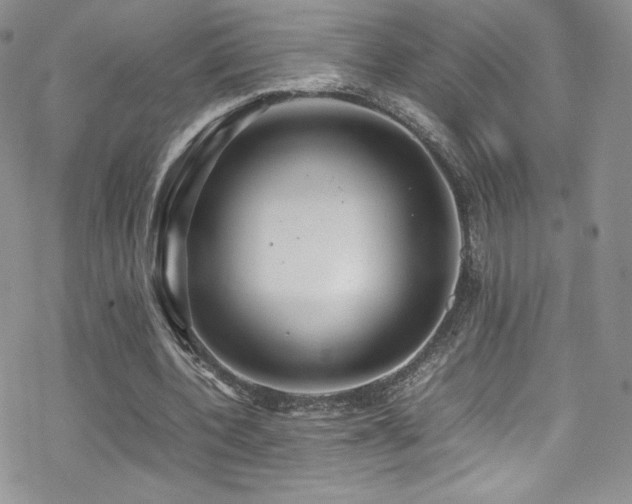 X0000070410532200606091154