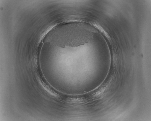 X0000070410533200606091154