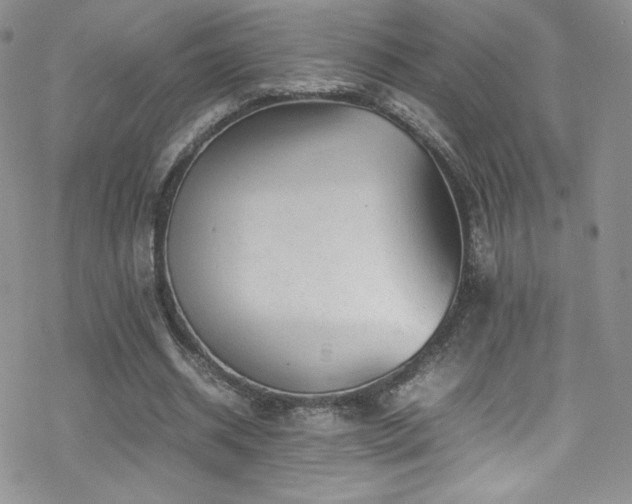 X0000070410534200606091154