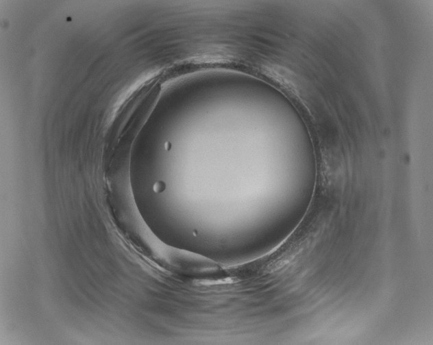 X0000070410535200606091154