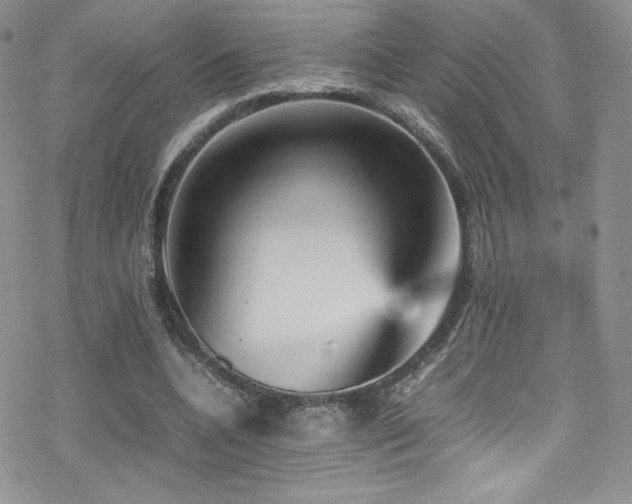 X0000070410536200606091154