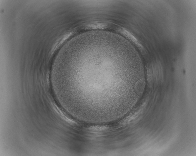 X0000070410537200606091154